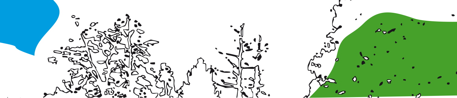 Naturbelassenes Waldgrundstück